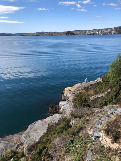 Koselig Nyoppusset 3 Roms Leilighet Med Egen Parkeringsplass I Rolige Omgivelse Naer Sjoen, 2 Mil Nord For Bergen Sentrum. المظهر الخارجي الصورة
